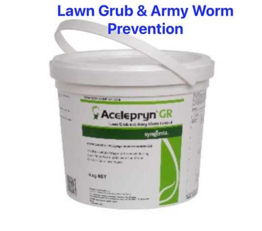 Beetle, Lawn Grub & Armyworm Protection For Your Lawn