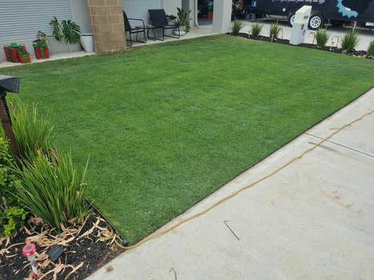 How to Fix My Patchy Lawn: A Step-by-Step Guide to Reviving Your Grass